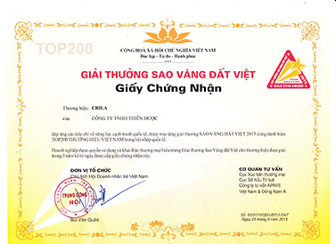 SAO VÀNG ĐẤT VIỆT