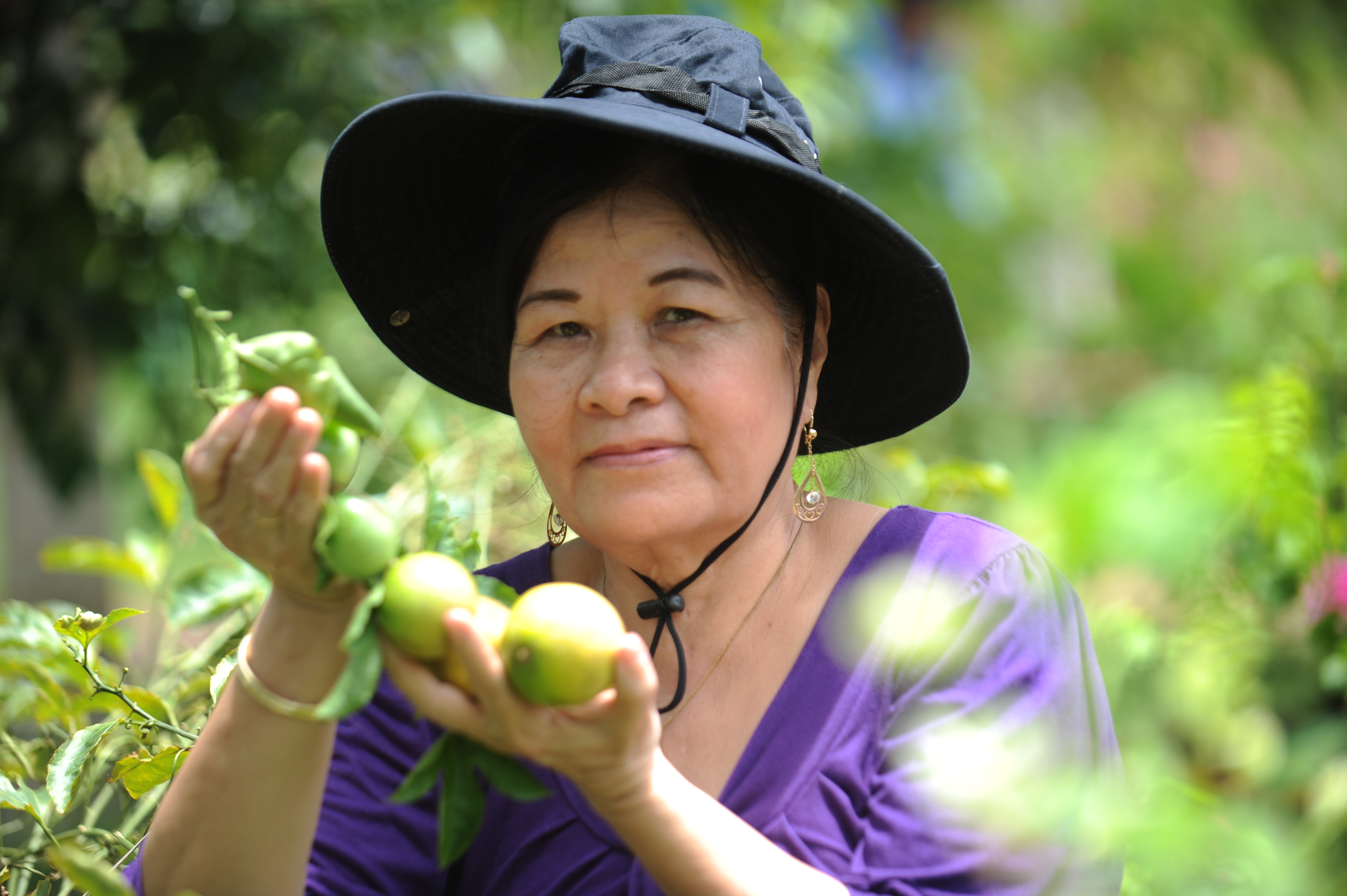 Người biến cỏ hoang thành dược liệu quý