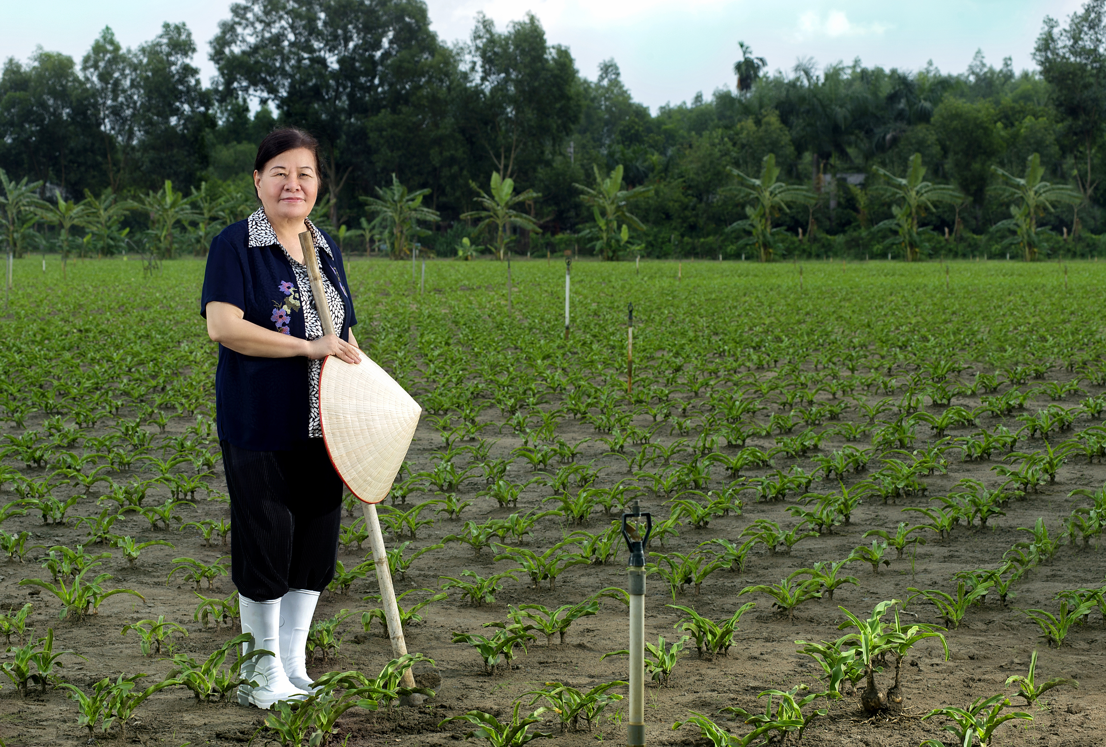 Cầm “sổ đỏ” vay tiền để sản xuất thuốc