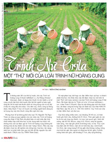 Trinh nữ Crila – một “thứ” mới của loài Trinh nữ hoàng cung