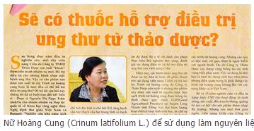Trinh nữ hoàng cung … xuất ngoại