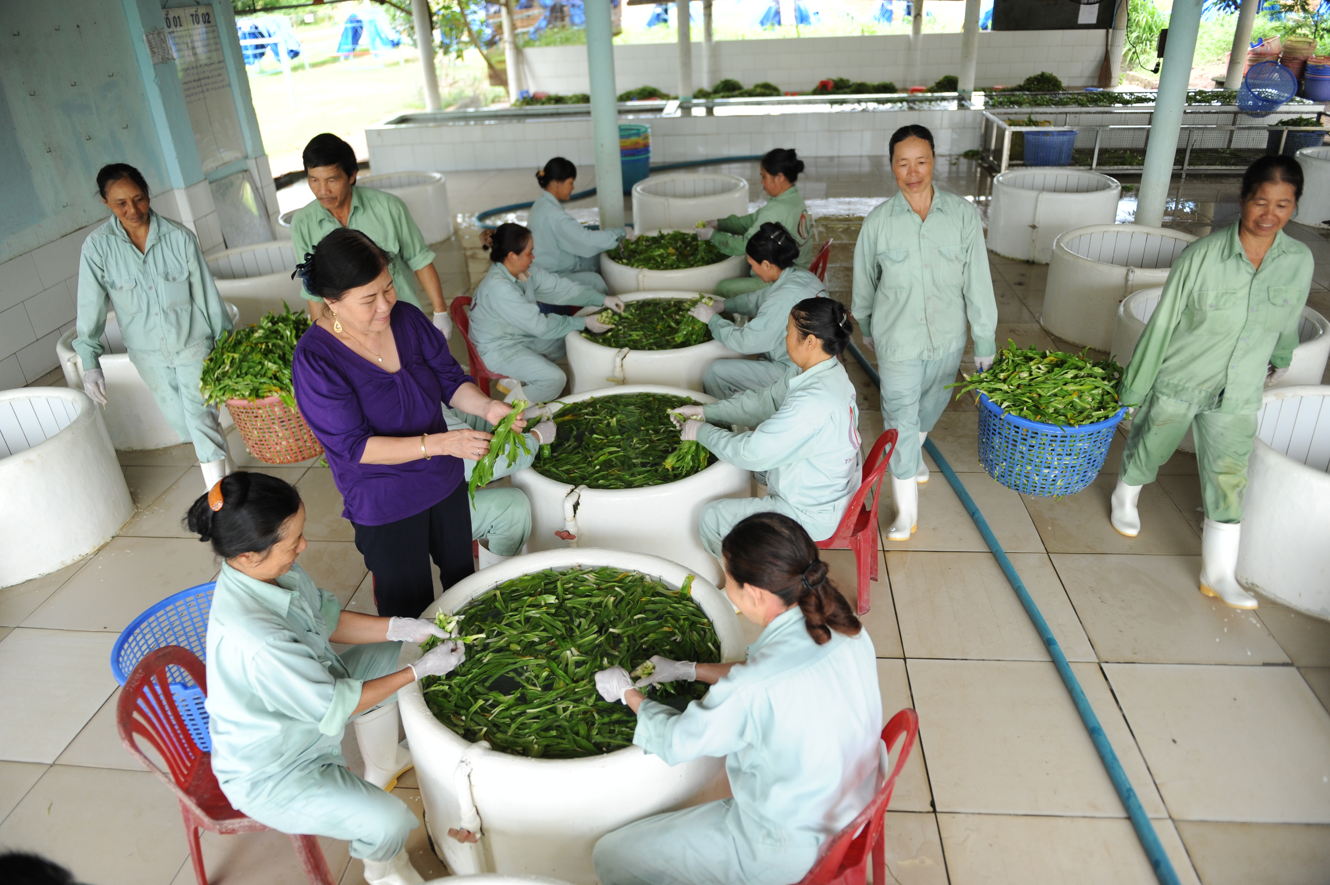 Trinh nữ hoàng cung và nam giới