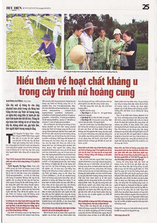 Hiểu Thêm Về Hoạt Chất Kháng U Trong Cây Trinh Nữ Hoàng Cung
