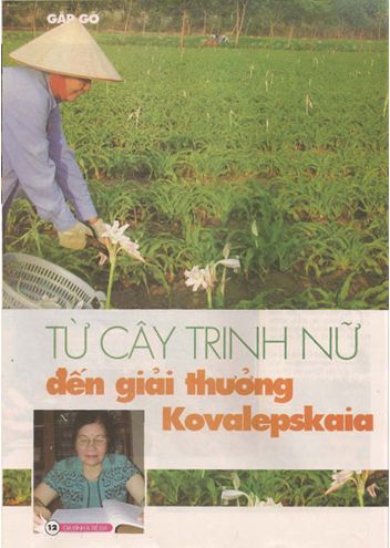 Từ cây Trinh nữ hoàng cung đến giải thưởng Kovalepskaia