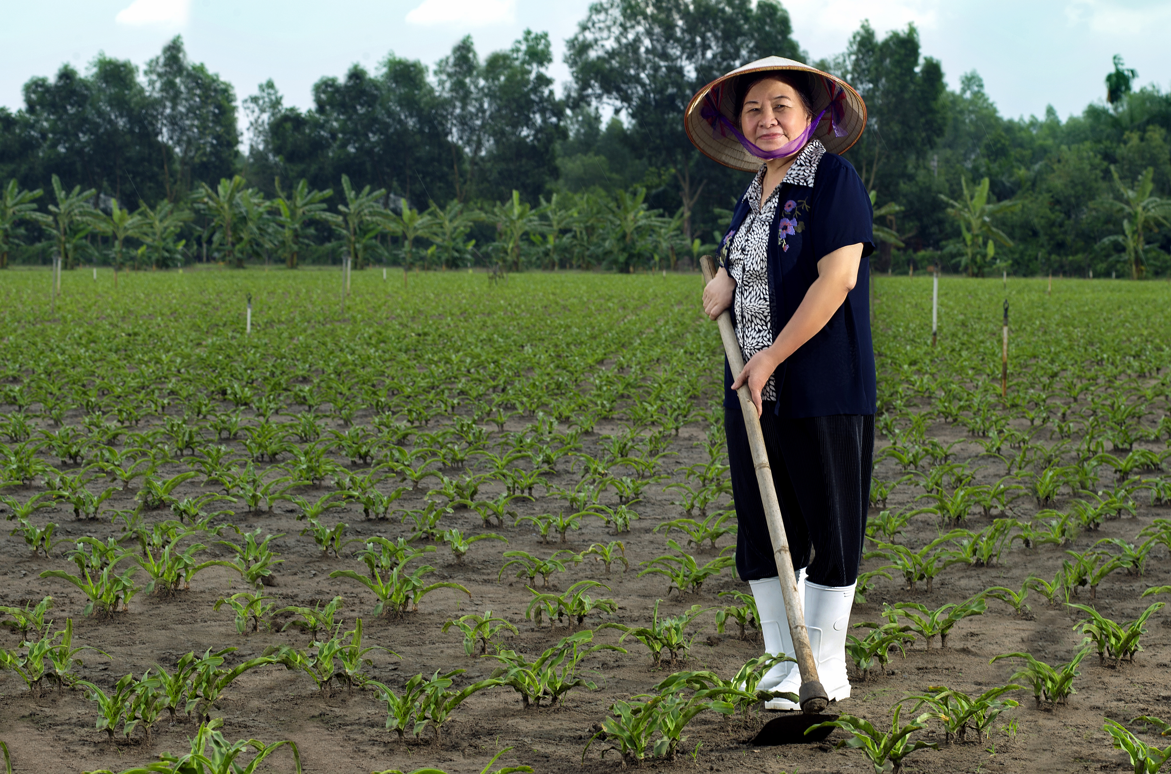 Nữ tiến sĩ đưa cây Trinh nữ hoàng cung lên ngôi