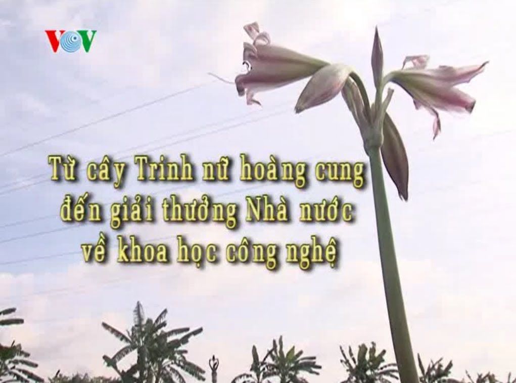 Hai tập thể và cá nhân được tặng giải thưởng Kovalevskaia