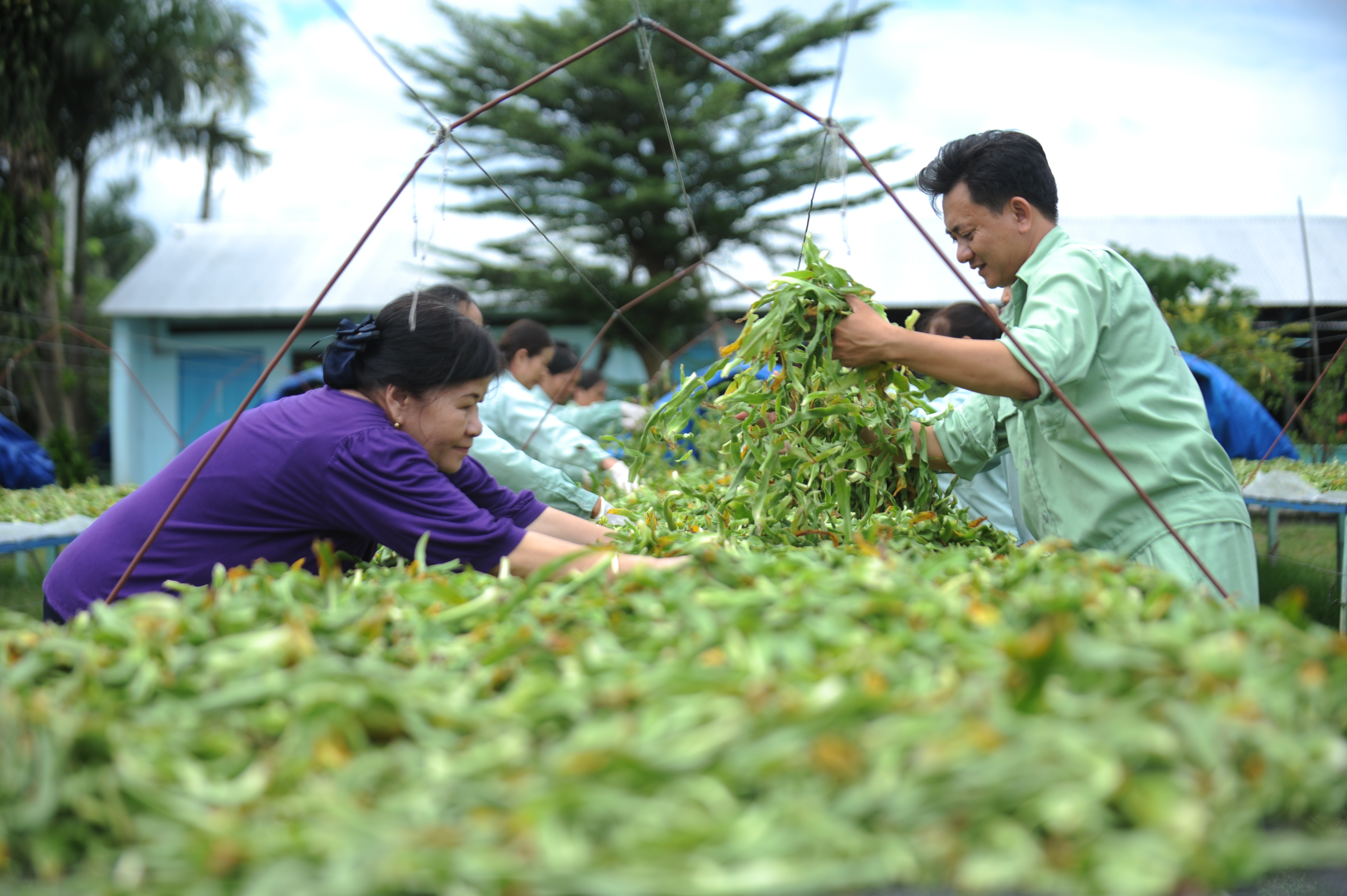 Hơn 80 thực phẩm chức năng bị tố “nhái hoạt chất”