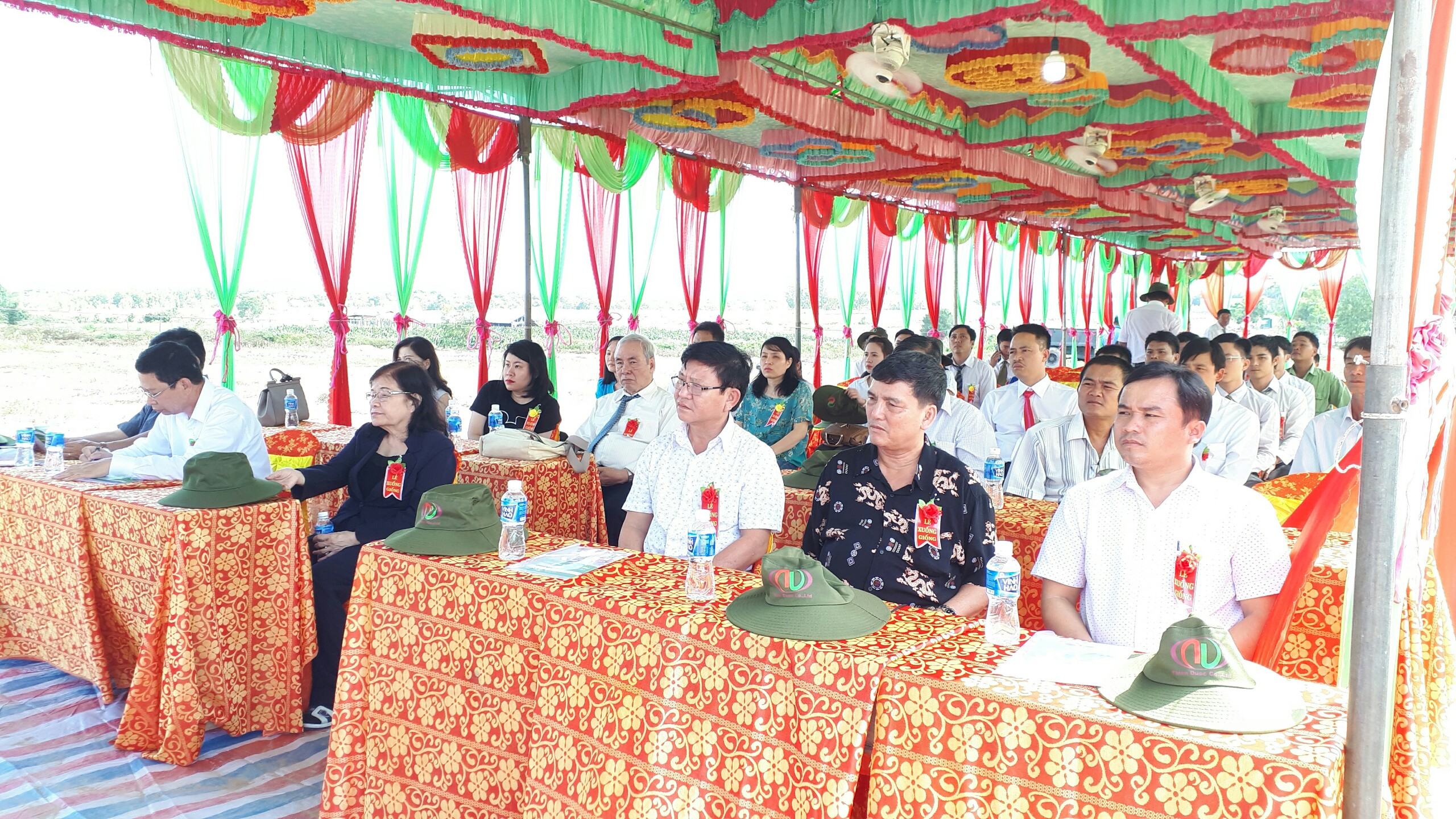 Tiến Sĩ Nguyễn Thị Ngọc Trâm và bí mật về cây thuốc trinh nữ hoàng cung